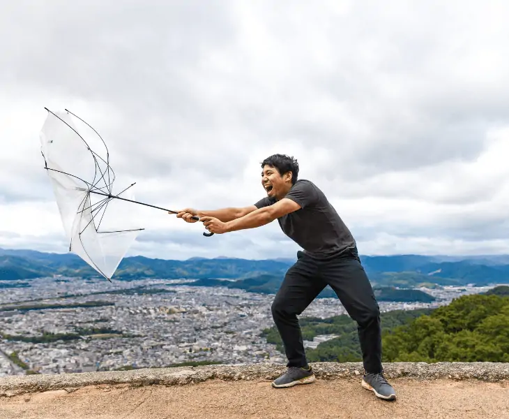protect yourself from high winds
