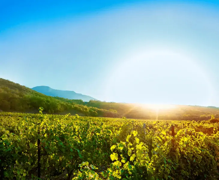 sun shine on land