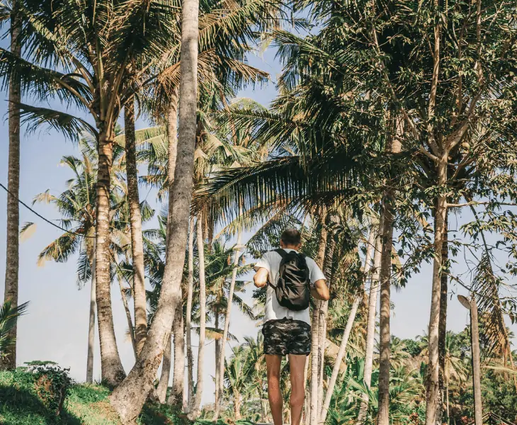 tropical climates