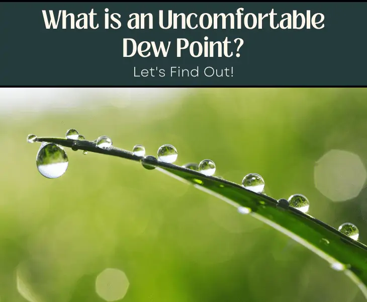 what is an uncomfortable dew point