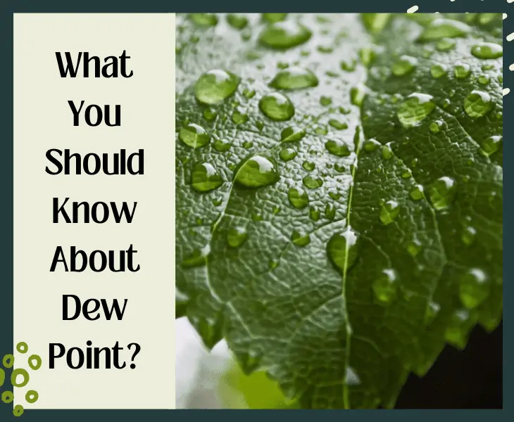 dew point
