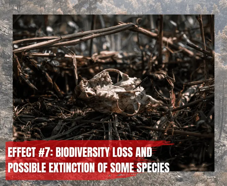 loss of biodiversity 