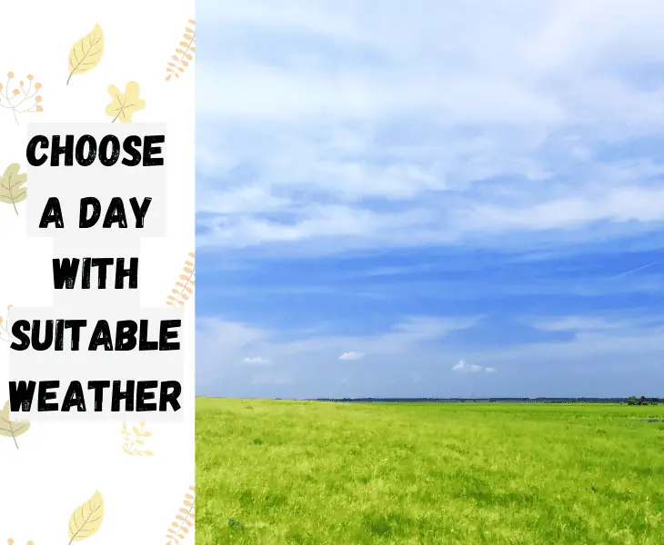 choose a calm weather to fly a kite