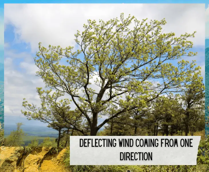 deflected wind