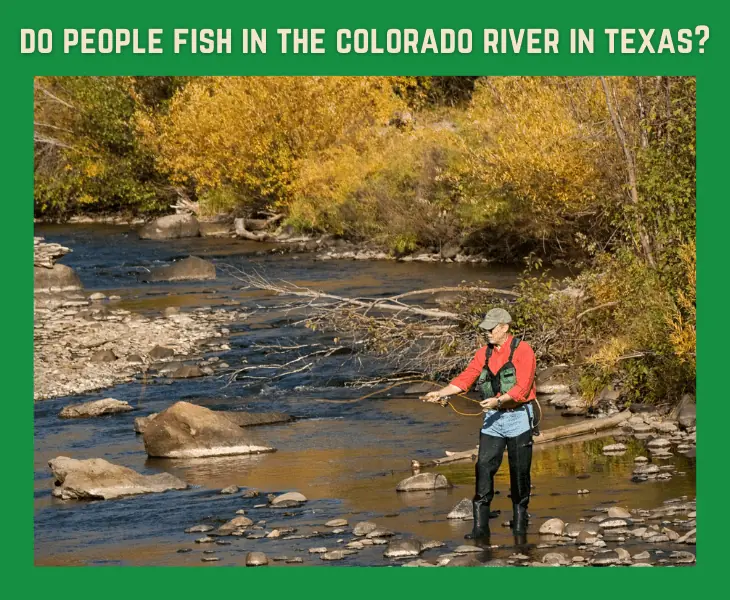 fishing in colorado river during summer
