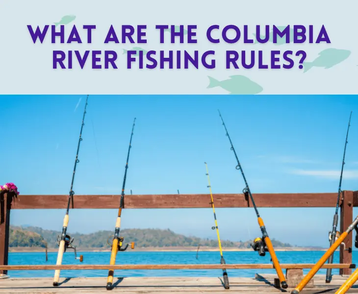 what are the fishing rules