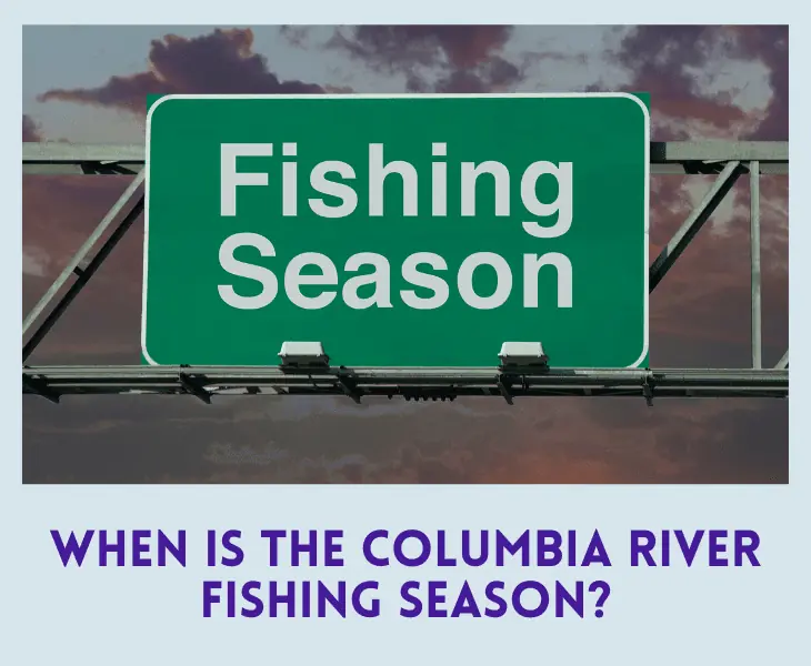 when is fishing season