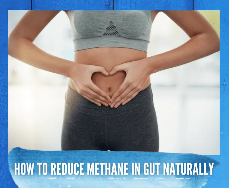 how to reduce methane in gut naturally