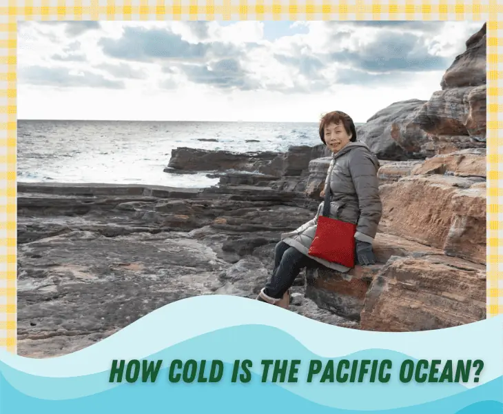 holw cold is the pacific ocean