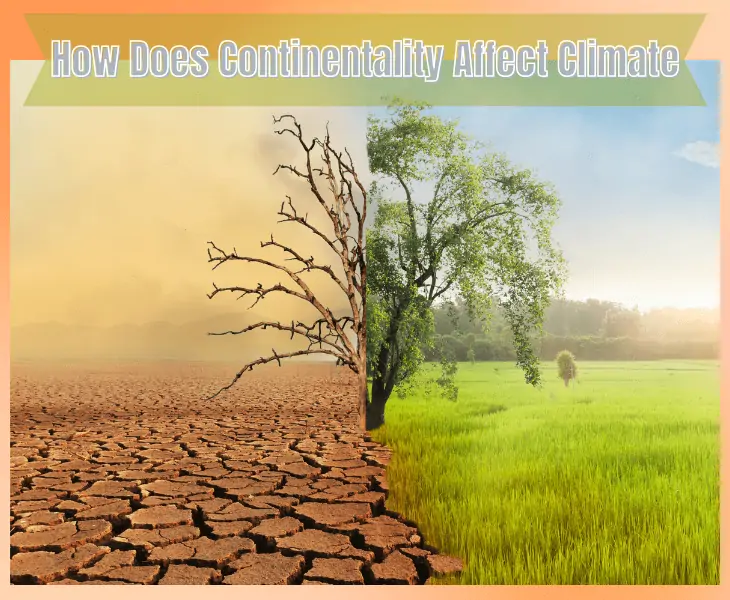 how does continentality affect climate