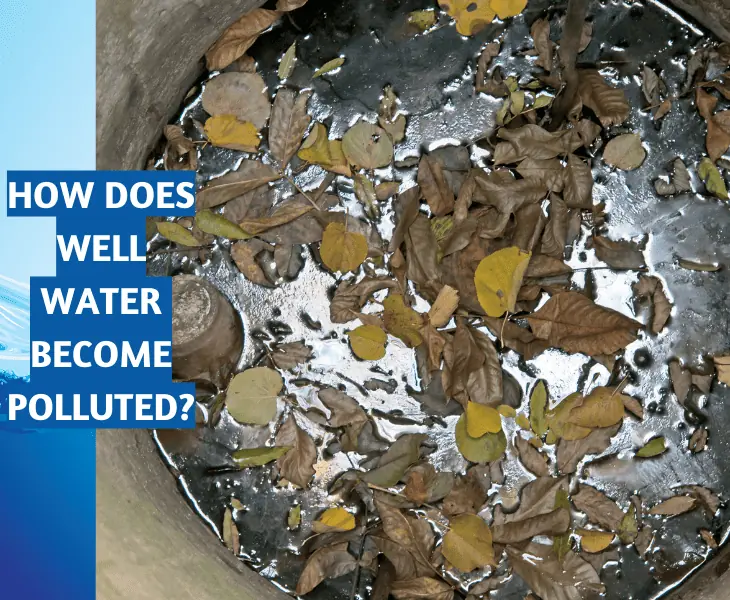 how is it contaminated
