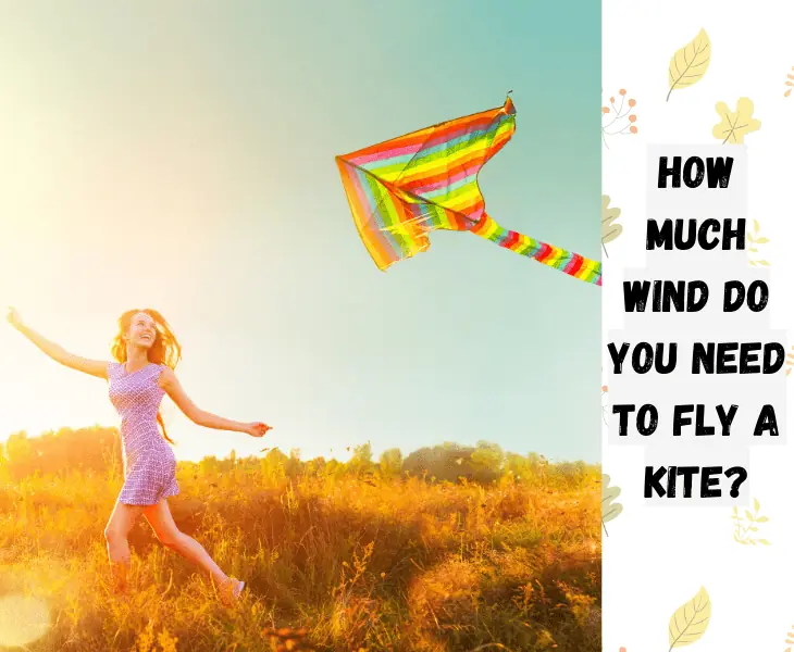 how much wind
