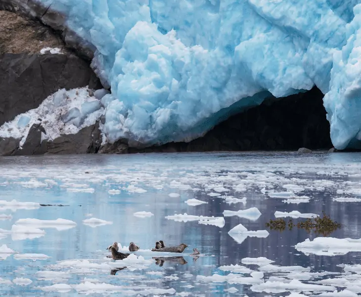 is it cold on a glacier in alaska