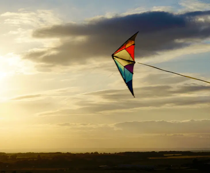 flying a kite high