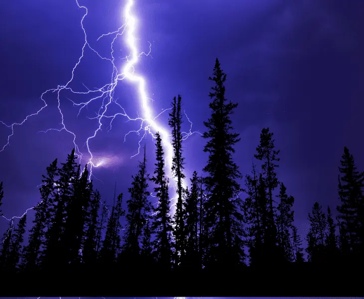 lightning strikes trees