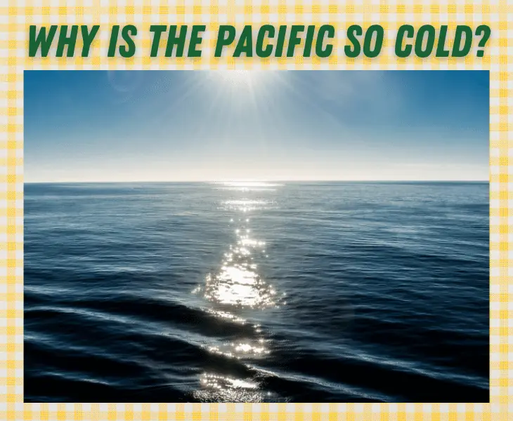 why is the pacific ocean so cold