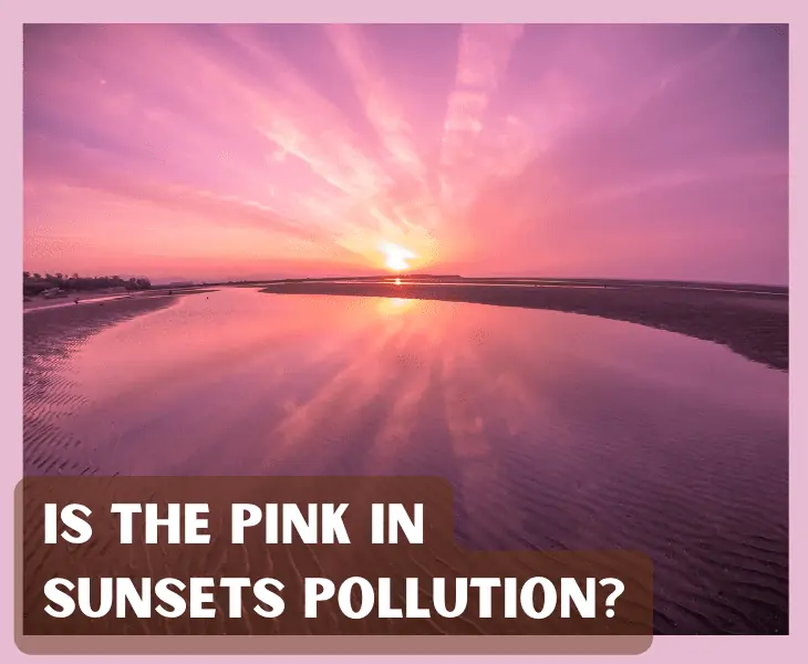 pink sunset