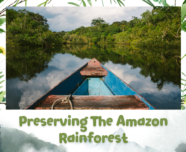 preserving amazon forest