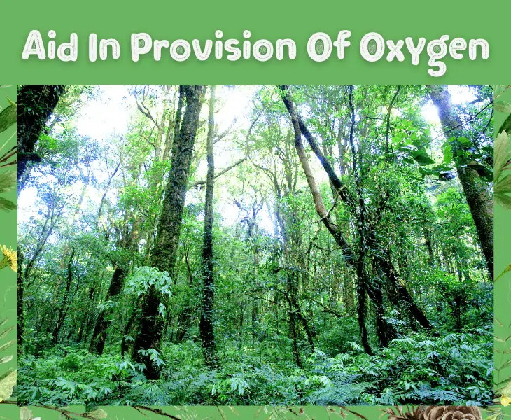 provision of oxygen