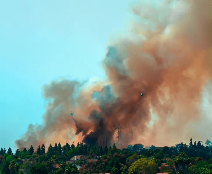 greenhouse gases releases due to forest fire