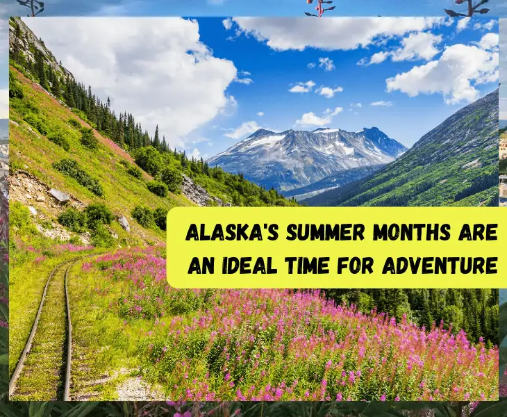 summer in Alaska