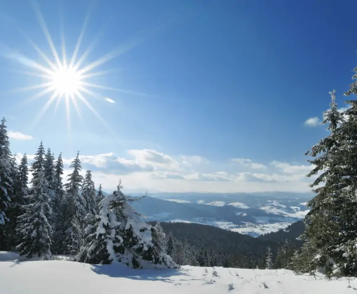 sun on winter