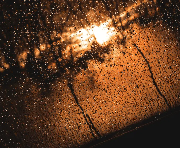 the weather
