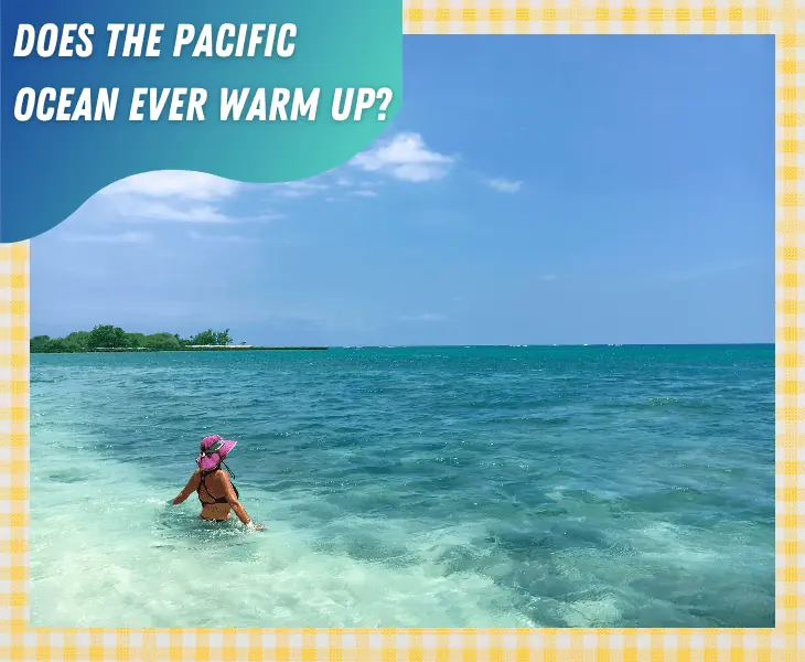 warm pacific ocean