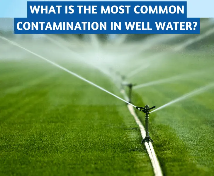 most common contamination