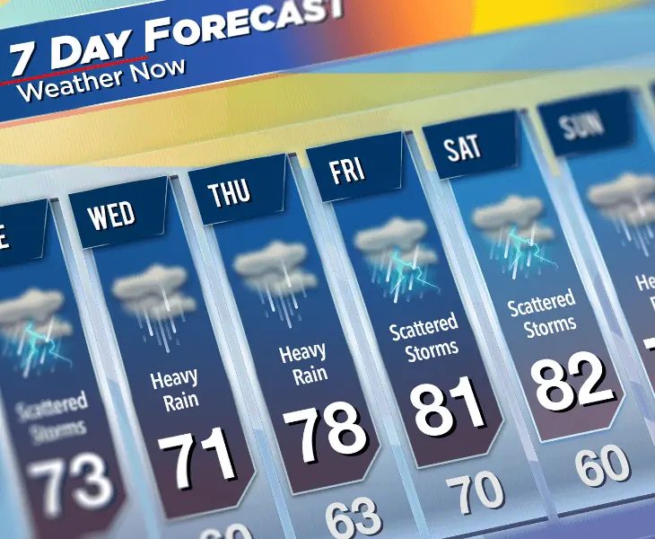 weather forecast