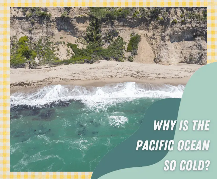 pacific is cold