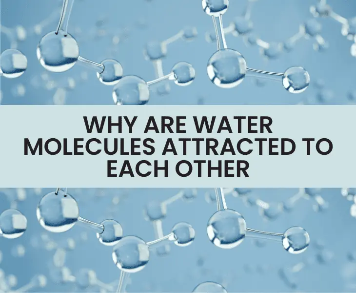 why are water molecules attracted to each other