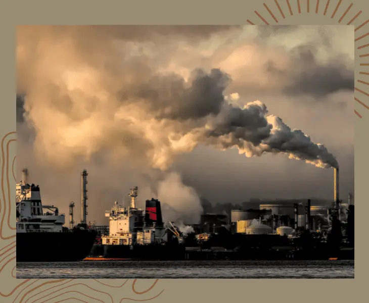 carbon dioxide from plantations