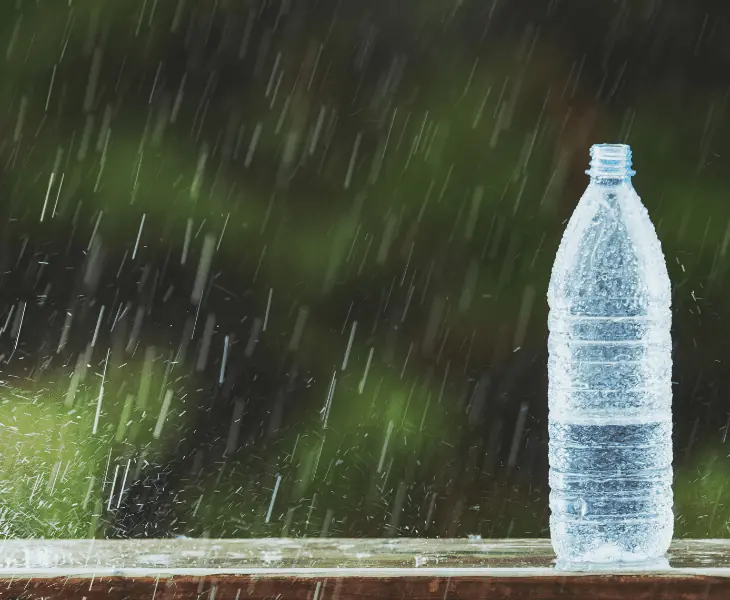 collecting rain water
