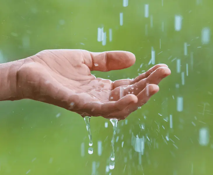 raw rain water