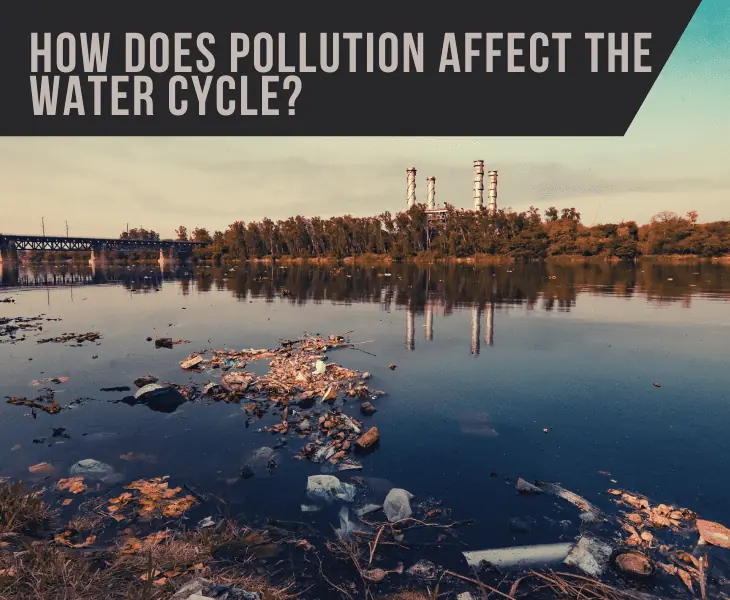 how does pollution affect the water cycle