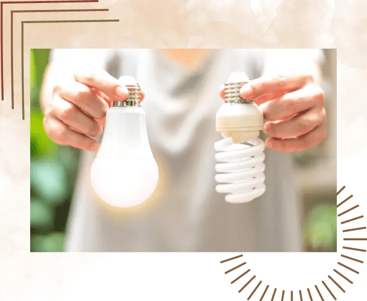 the led lights