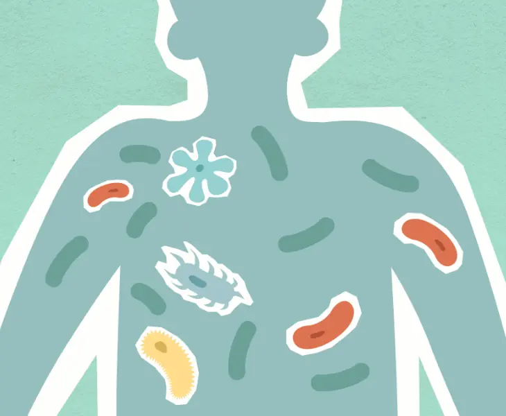 Parasites and other living organism