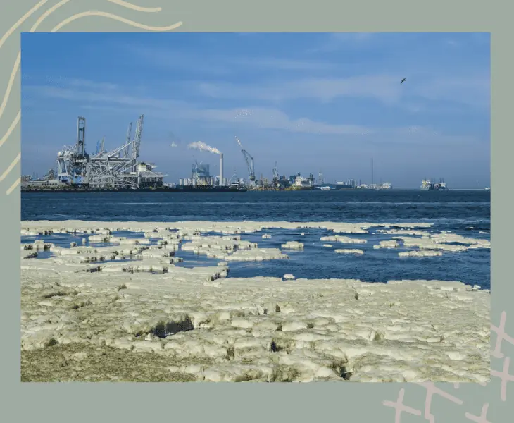 the sea is polluted