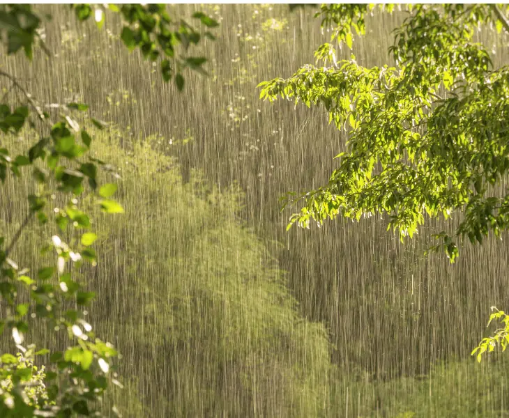 bright sunny rainfall