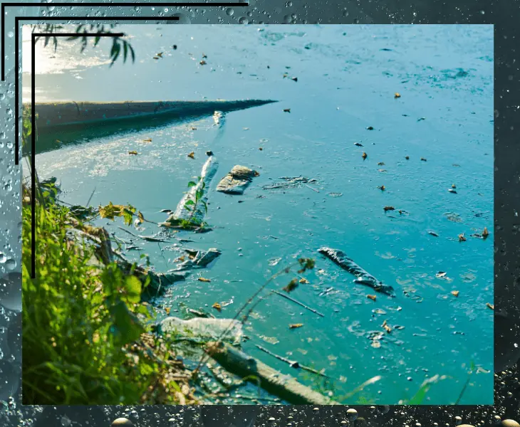 types of water pollution