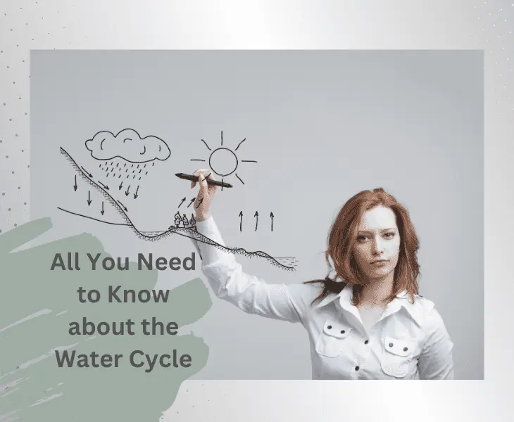 earth's water cycle