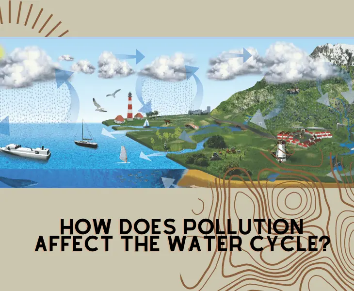 effect of pollution in water cycle