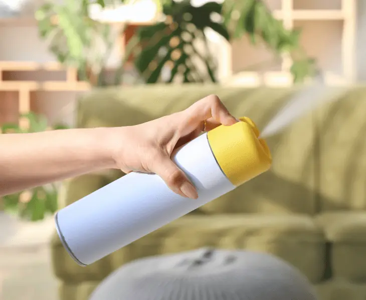 woman spraying air freshener