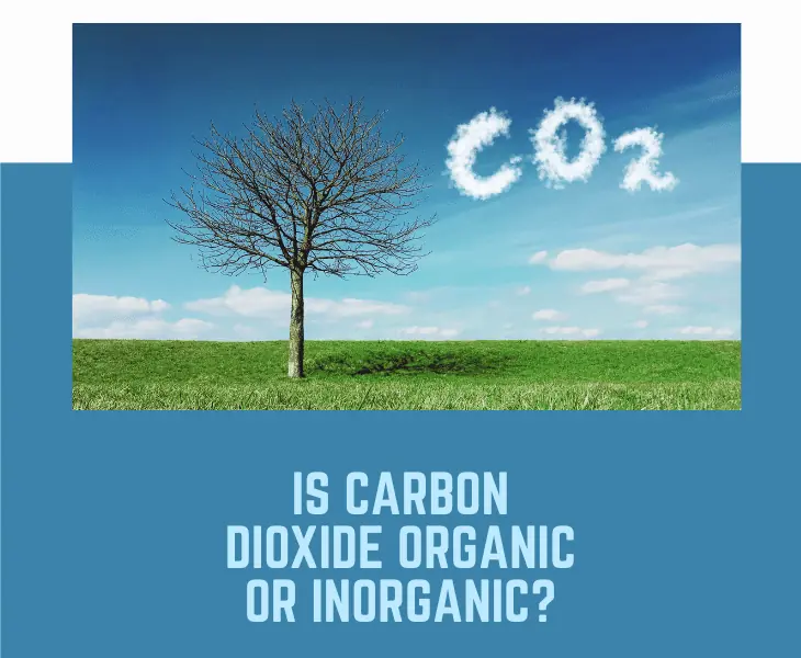 is carbon dioxide organic or inorganic