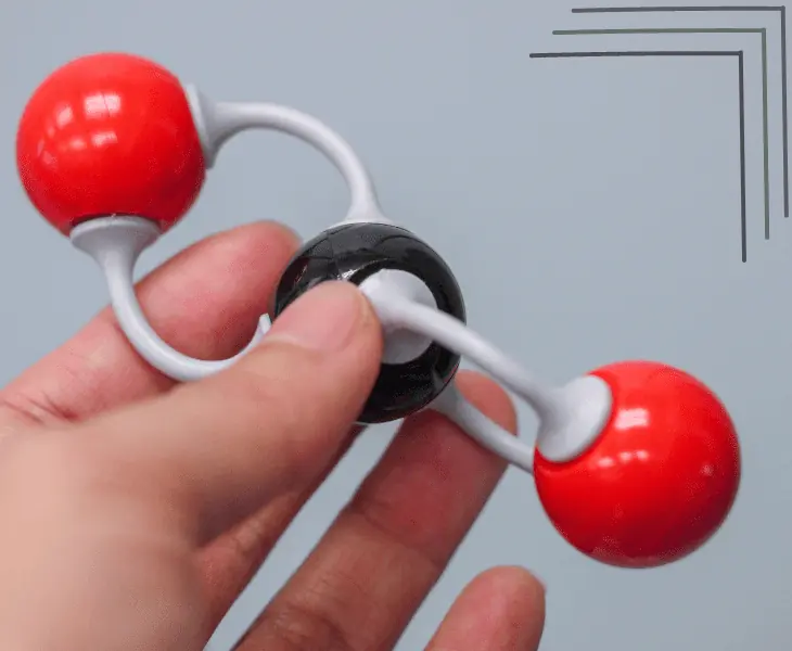 man holding carbon dioxide model