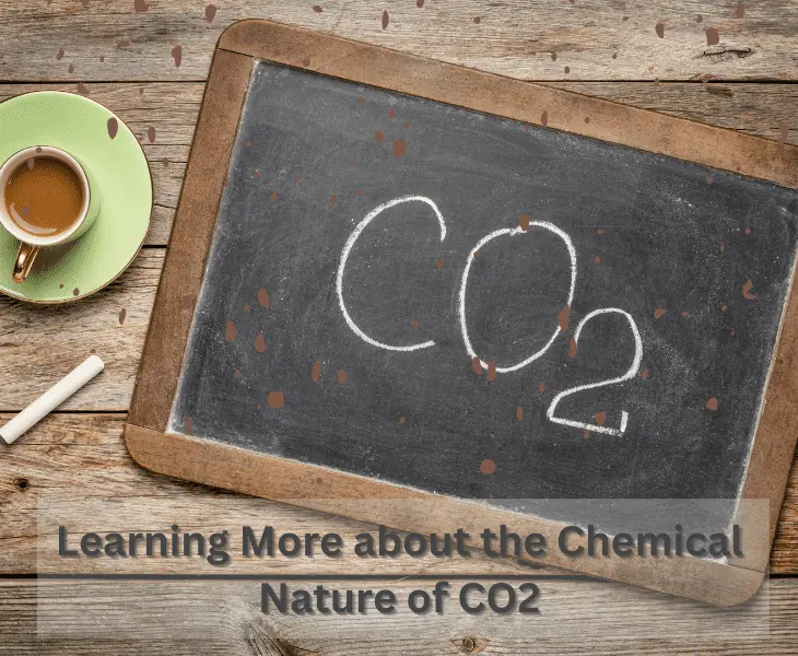 chemical nature of carbon dioxide