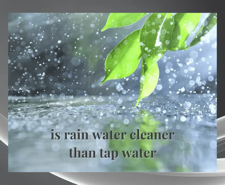 is rain water cleaner than tap water