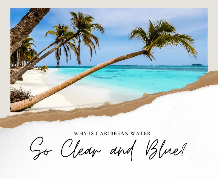 why is caribbean water so clear