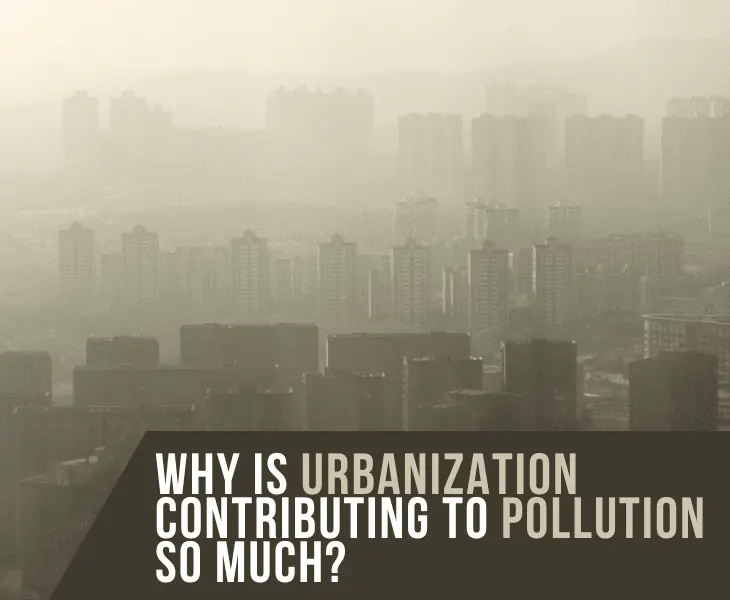 why is urbanization contributing to pollution so much